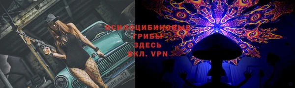 эйфоретик Аркадак